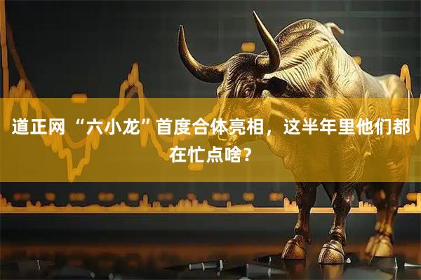 道正网 “六小龙”首度合体亮相，这半年里他们都在忙点啥？