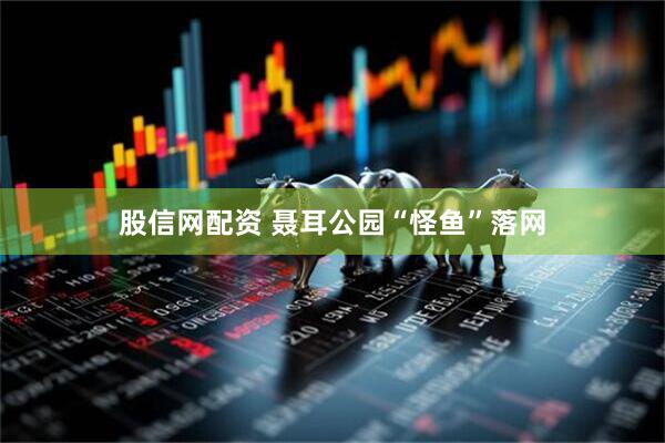 股信网配资 聂耳公园“怪鱼”落网