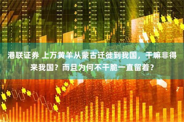 港联证券 上万黄羊从蒙古迁徙到我国,干嘛非得来我国?而且为何不干脆一直留着?